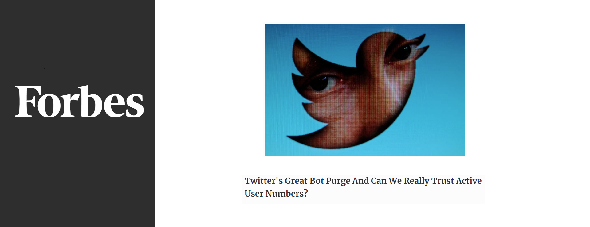 Twitter’s Great Bot Purge And Can We Really Trust Active User Numbers